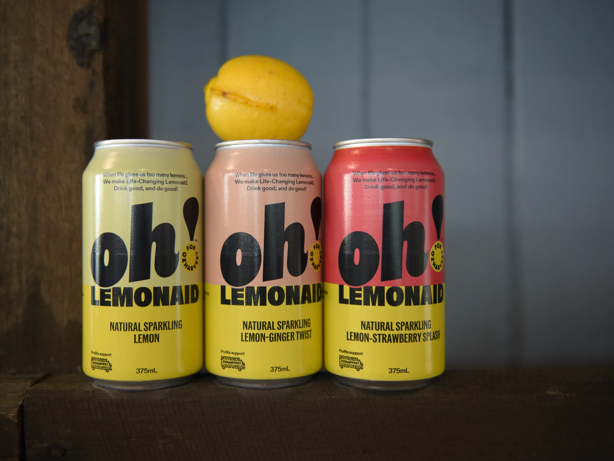 OzHarvest, photograph 7